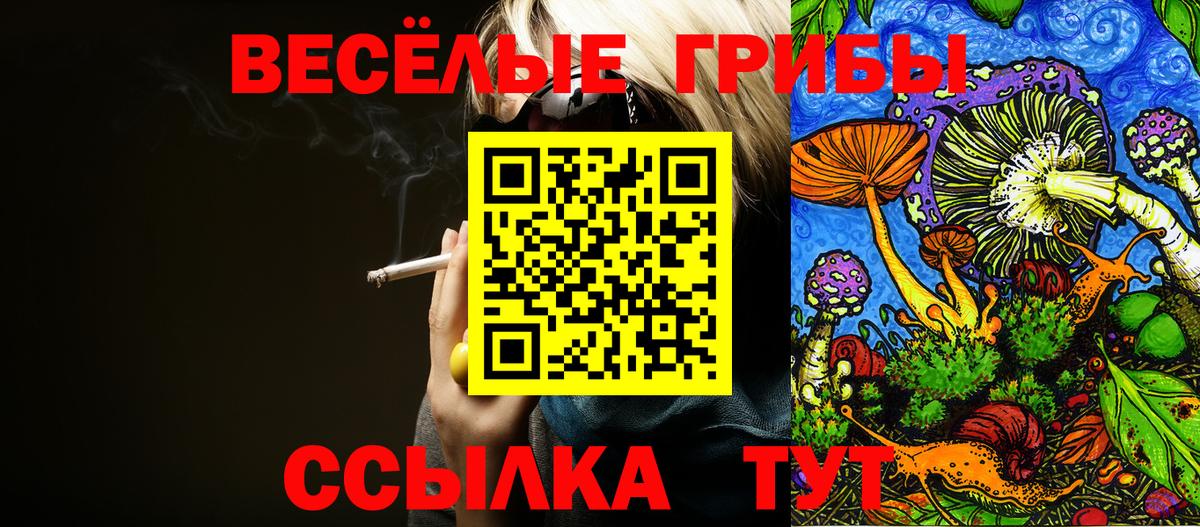Галлюциногенные грибы Psilocybe Волжский