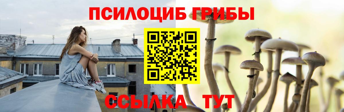Галлюциногенные грибы Psilocybe  Вход с VPN  Волжский 